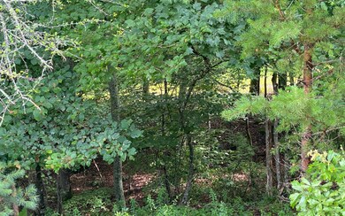 LOT 7 Mountain Field Dr, Blue Ridge, GA 30513 - photo 4