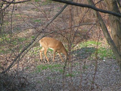 12 Dover Rd unit 12, Natick, MA 01760 - photo 5