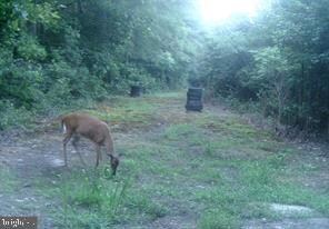 0 Leedstown Rd unit VAWE2006976, Colonial Beach, VA 22443 - photo 3