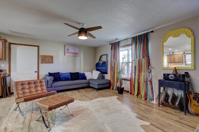 239 S Cedar Cir, Webb City, MO 64870 - photo 5