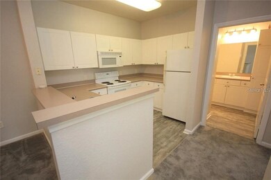 9401 Crescent Loop Cir unit 103, Tampa, FL 33619 - photo 5