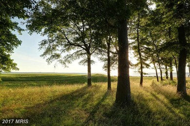 701 Penny Dr, Stevensville, MD 21666 - photo 6