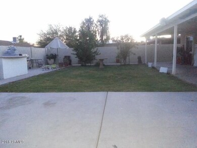 Backyard_view 4