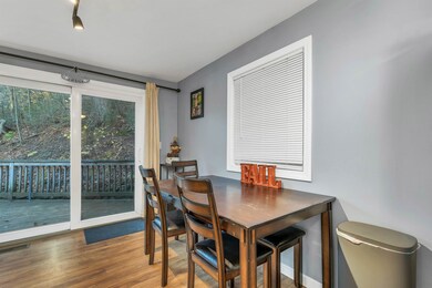 115 Moose Club Park Rd, Goffstown, NH 03045 - photo 4