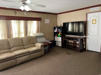 Carpeted living room featuring ceiling fan, orname