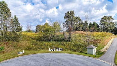 Lot 21 Ridgemont Ln, Ellijay, GA 30536 - photo 4