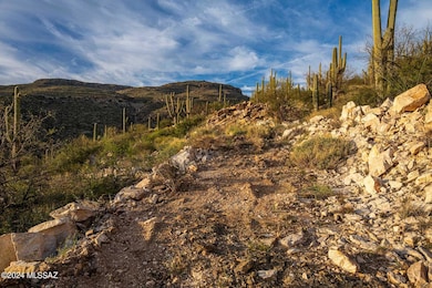 12979 E Cabeza de Vaca St unit Lot E, Tanque Verde, AZ 85749 - photo 5