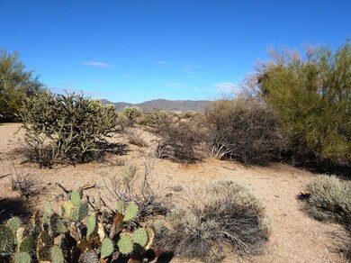 Mountain Views 3