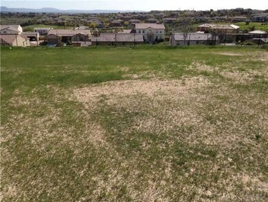 ENORMOUS FLAT USABLE BACK YARD
