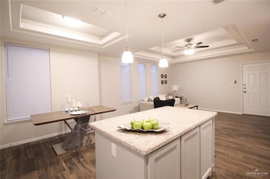 Kitchen featuring a tray ceiling, open floor plan, wood tiled floors, decorative light fixtures, and a center island