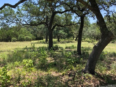 10712 Clearwater Meadow, San Antonio, TX 78255 - photo 7