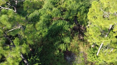 2525 Catron Cir, Lehigh Acres, FL 33971 - photo 3