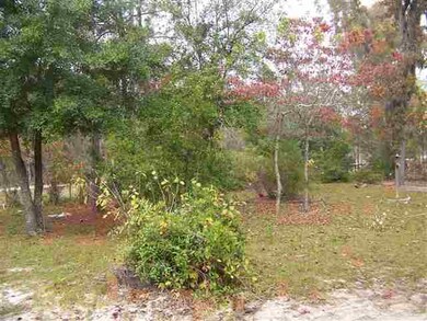 Lot 29 Breeze Dr 2nd unit 1, Perry, FL 32348 - photo 5
