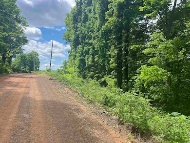 TBD Lick Fork Rd, Witt Springs, AR 72686 - photo 7