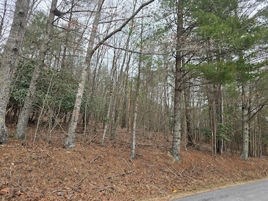 TBD Taylors Chapel Rd, Fries, VA 24330 - photo 3