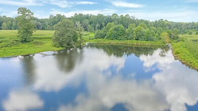 0 Hwy 75 unit 24542082, Ider, AL 35981 - photo 5