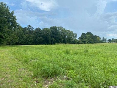Lot 4A Antioch Rd, Conway, SC 29527 - photo 4