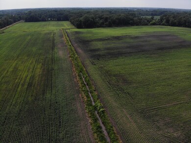 V/L 64th Ave, Paw Paw, MI 49079 - photo 3