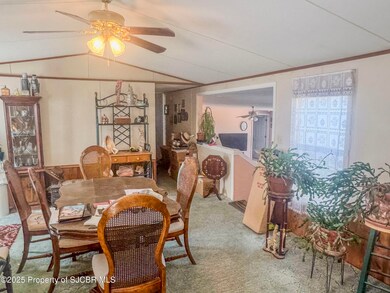 43 Road 3141, Aztec, NM 87410 - photo 5