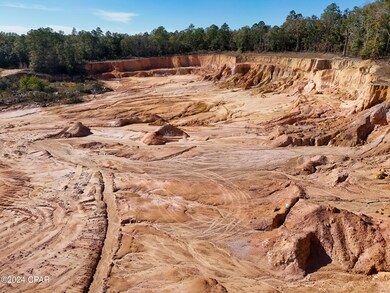 0 Malcolm Taylor Rd, Bonifay, FL 32425 - photo 6