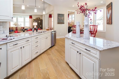 4225 Honey Locust Dr, Mint Hill, NC 28227 - photo 2