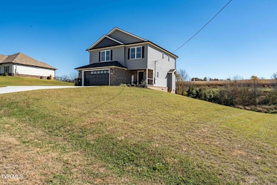 1325 Bowmantown Rd, Limestone, TN 37681 - photo 2