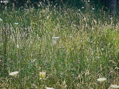 221 Twin Pines Dr, Glendale, OR 97442 - photo 4