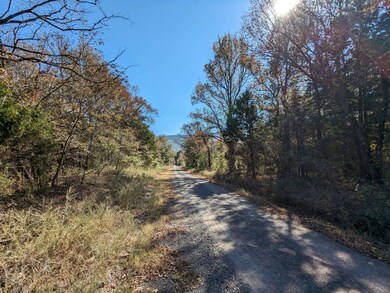 TBD U S 59 unit 13, Heavener, OK 74937 - photo 2