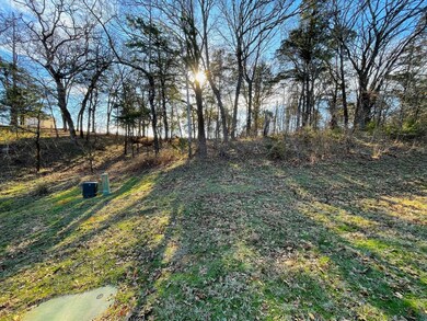 Lot 8A S Oakmont Ct, Gordonville, TX 76245 - photo 4