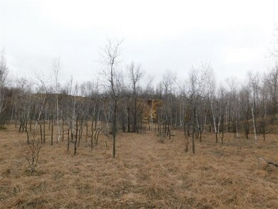 0 Sather Ln unit 1533393, Ettrick, WI 54627 - photo 3