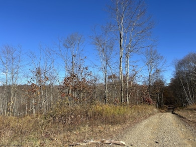 TBD Spruce Run Rd, Terra Alta, WV 26764 - photo 6