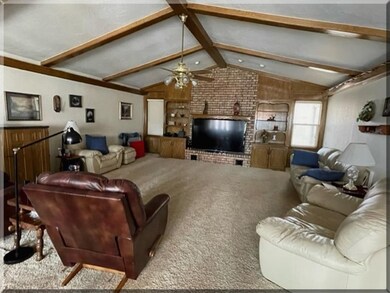 Large Living Area With Catherall Ceiling