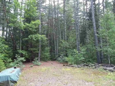 25 Michael's Ln, Salisbury, NH 03268 - photo 7