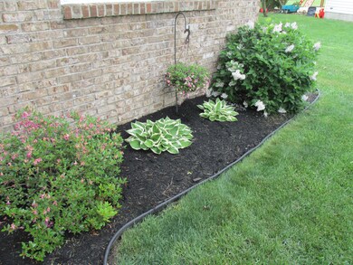 Beautiful Landscaping