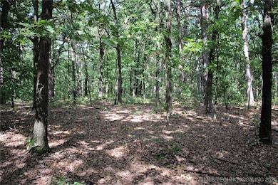 617 U S 59, Jay, OK 74346 - photo 4