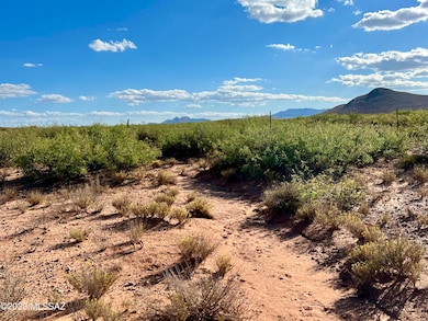 Natural Desert!