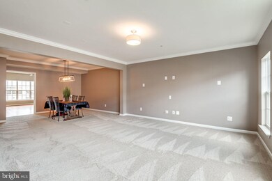 42595 Cardinal Trace Terrace, Ashburn, VA 20148 - photo 3