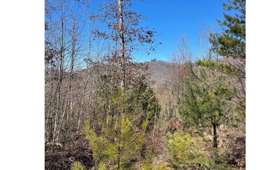 Additional View