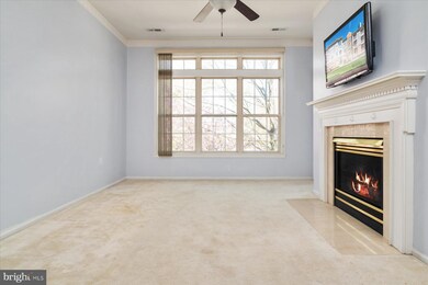 9207 Groffs Mill Dr unit 9207, Owings Mills, MD 21117 - photo 7