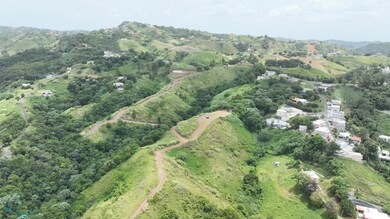 Carr 773 Km 2 6, Barranquitas, PR 00794 - photo 5