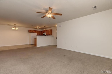 1776 Lexington Place unit 200, Herculaneum, MO 63048 - photo 3