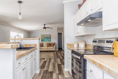 719 Manhole Rd, Bainbridge, GA 39817 - photo 6