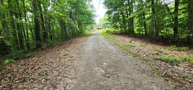 0 Poplar Place unit RTC2897213, Smithville, TN 37166 - photo 4