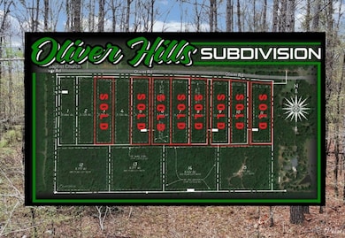 4 Oliver Rd, Haughton, LA 71037 - photo 4