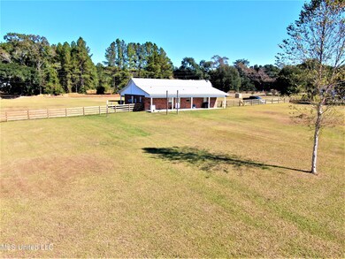 137 Howell Ferry Rd, Lucedale, MS 39452 - photo 4