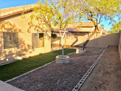Nice backyard