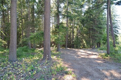 0 Bunker Rd, Ronald, WA 98922 - photo 6