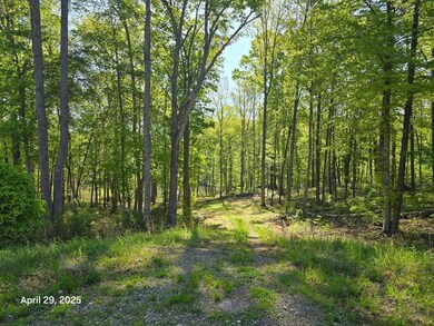 lOT 94 dRIVEWAY 2