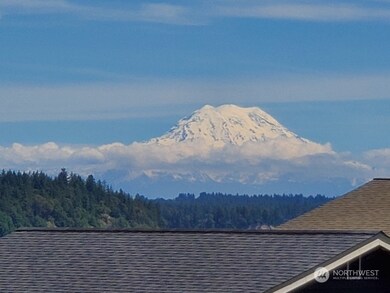 Great Mt Rainier View