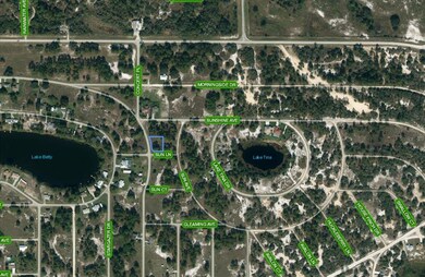 330 Sun Ct, Lake Placid, FL 33852 - photo 2